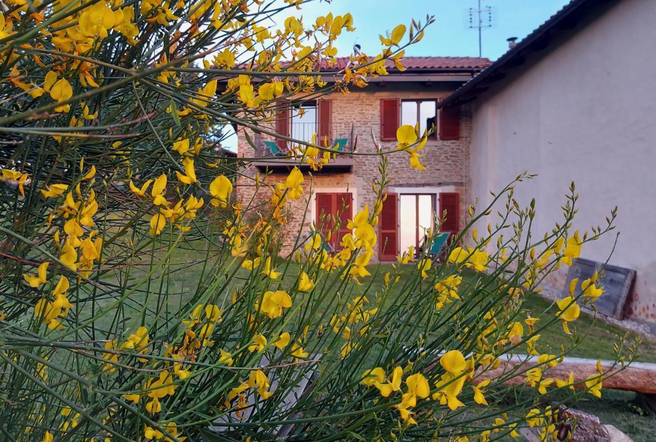 Апартаменты Cascina Nomade - Wine & Scenic Retreat Дольяни Экстерьер фото
