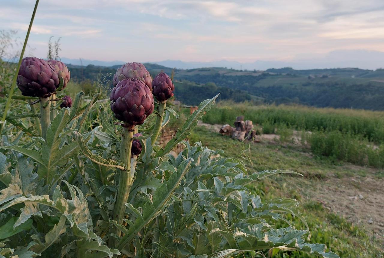 Апартаменты Cascina Nomade - Wine & Scenic Retreat Дольяни Экстерьер фото