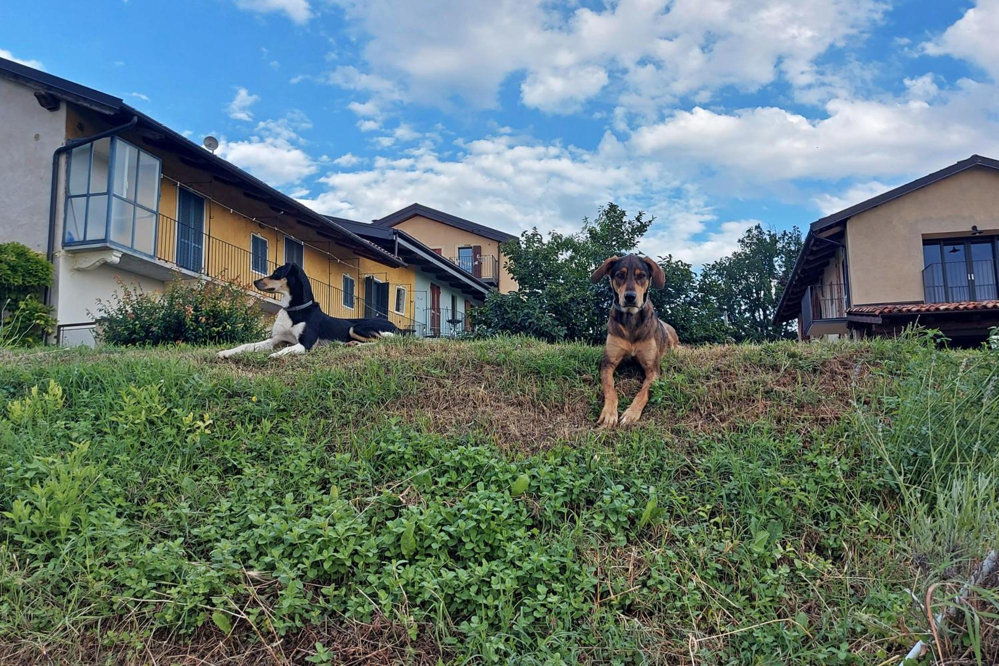 Апартаменты Cascina Nomade - Wine & Scenic Retreat Дольяни Экстерьер фото