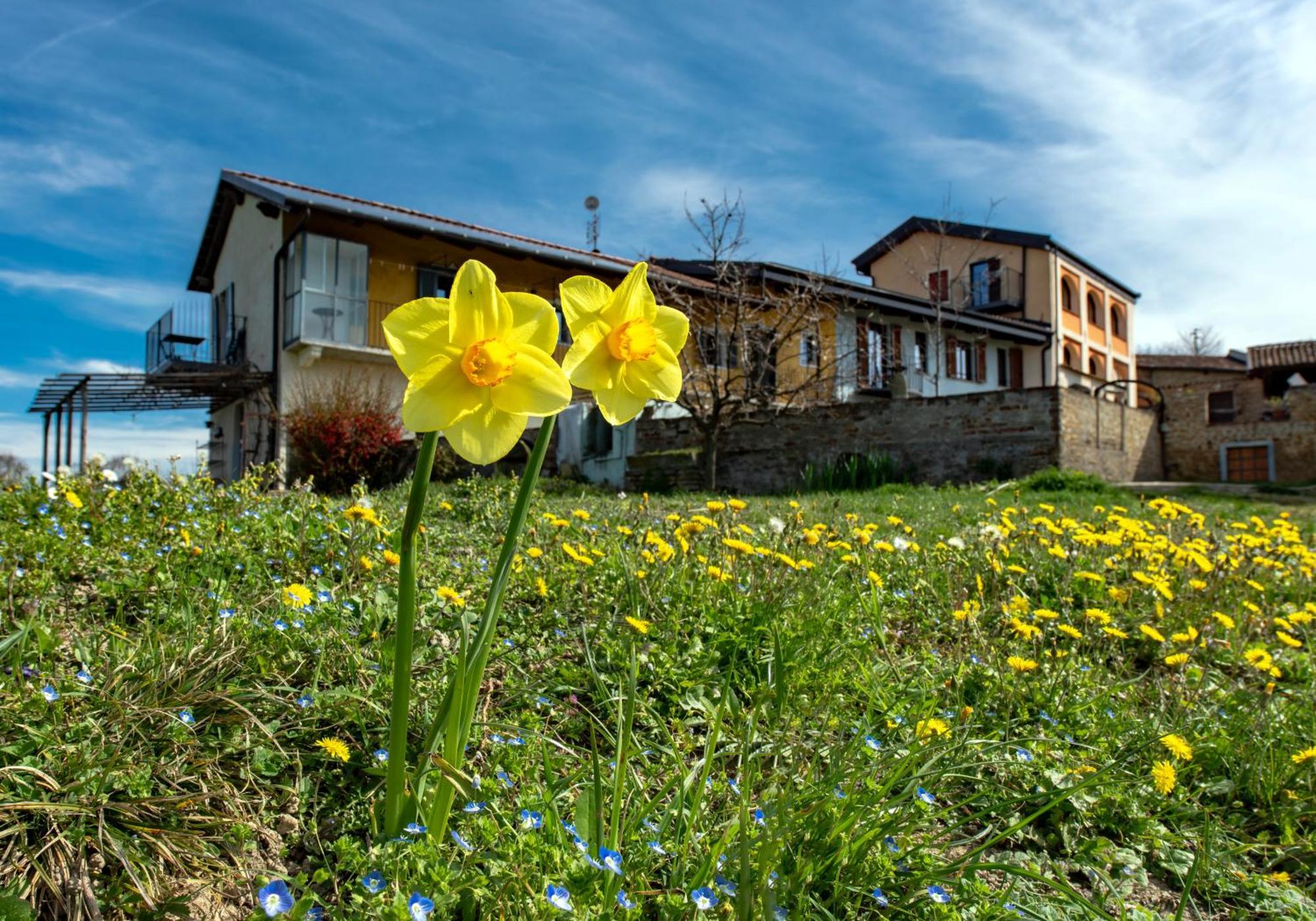 Апартаменты Cascina Nomade - Wine & Scenic Retreat Дольяни Экстерьер фото